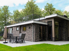 Modern holiday home near Veluwe